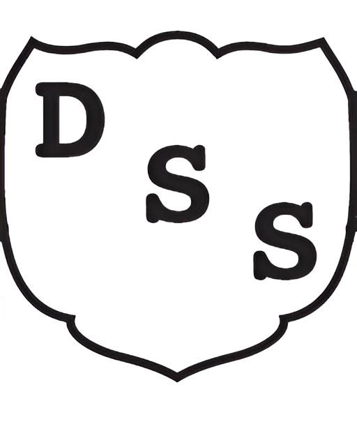 DSS Dienstleistung GmbH Logo